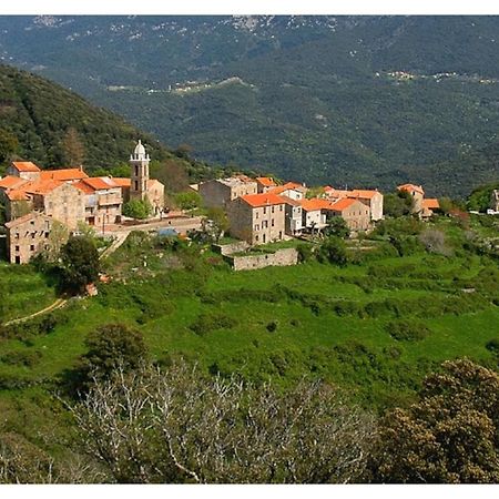 Villa Casadimela Porto Vecchio Exterior foto